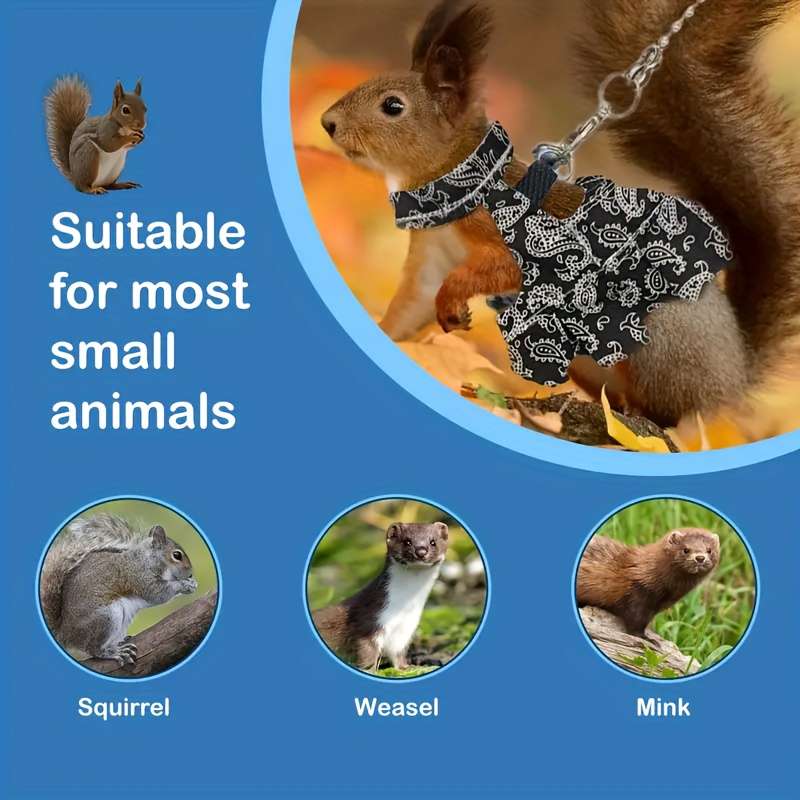 Pet Supplies Color Black Size M