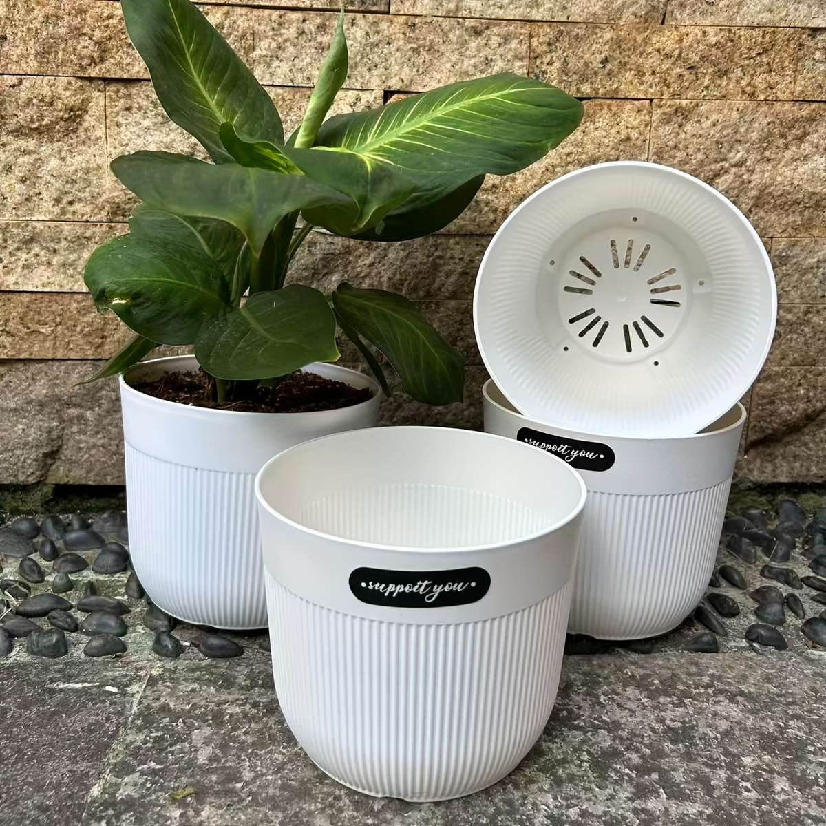 Flowerpot Size 16.0 Cm Quantity3Pack