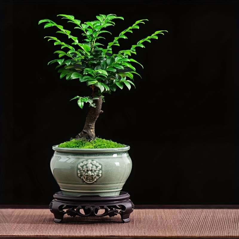 Flowerpot   11Cm-4 33 Inch