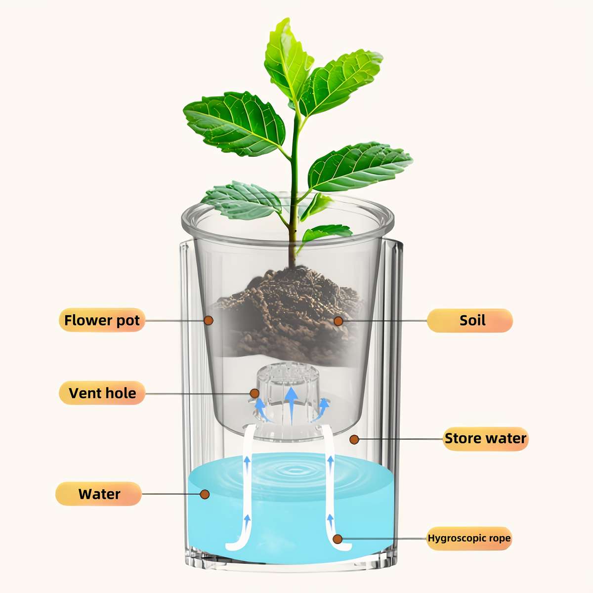 High Grade Boho Style Hydroponic Planter Automatic User Friendly Design Modern