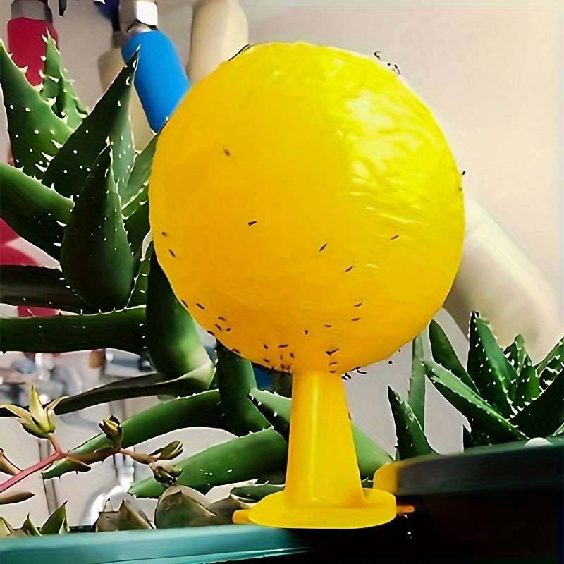 Fruit Fly Traps Color Yellow 6Pcs
