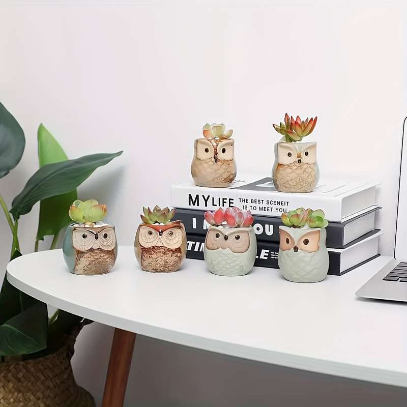 Flowerpot Style Kiln Transformation Little Owl 6-Piece Set