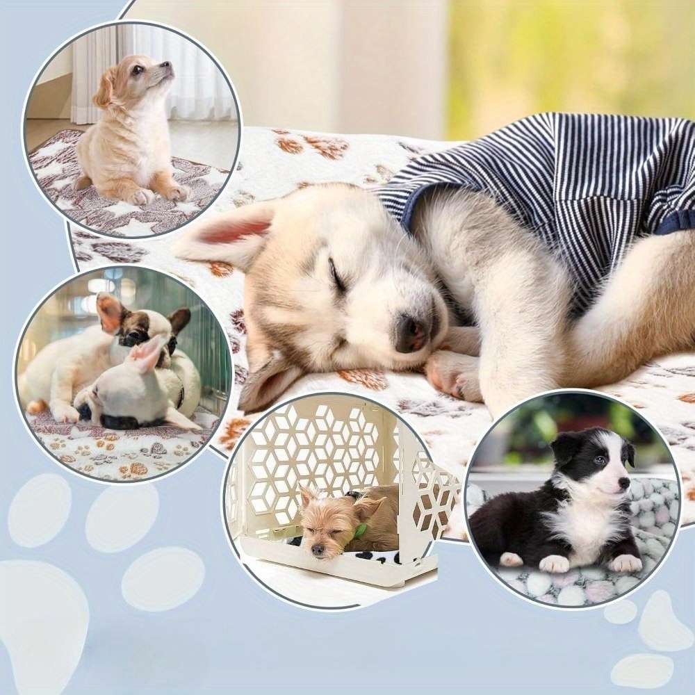 Pet Supplies Quantity 6Pcs