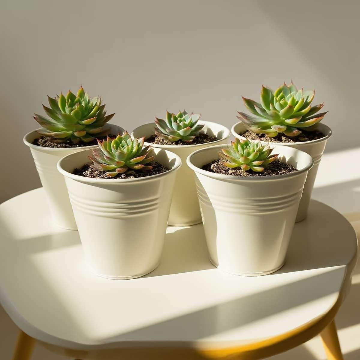 Flowerpot Color Beige Quantity3Pcs