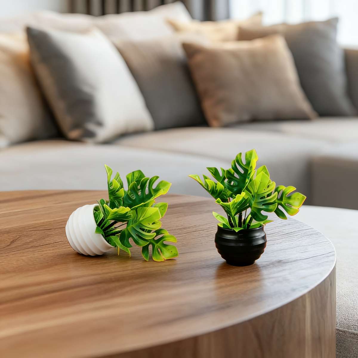 Flowerpot Quantity 2Pcs