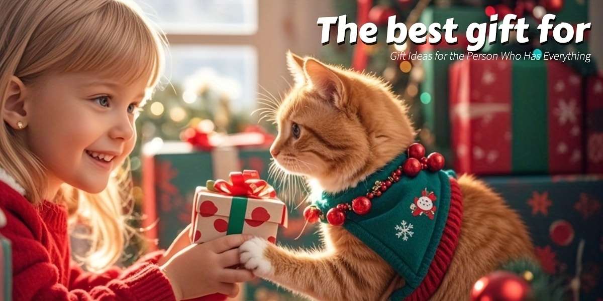 Pet Supplies Color Gray