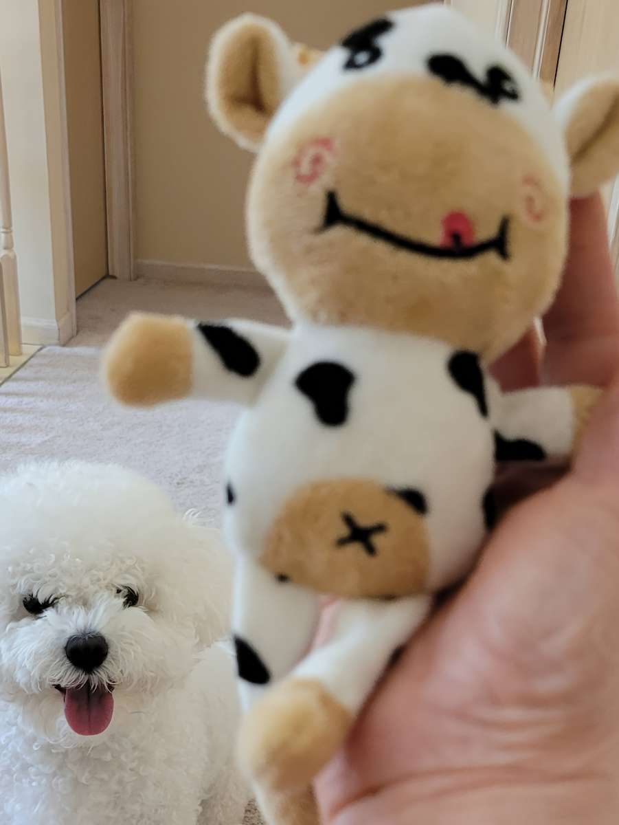Plush Toyss size 7 x 4in