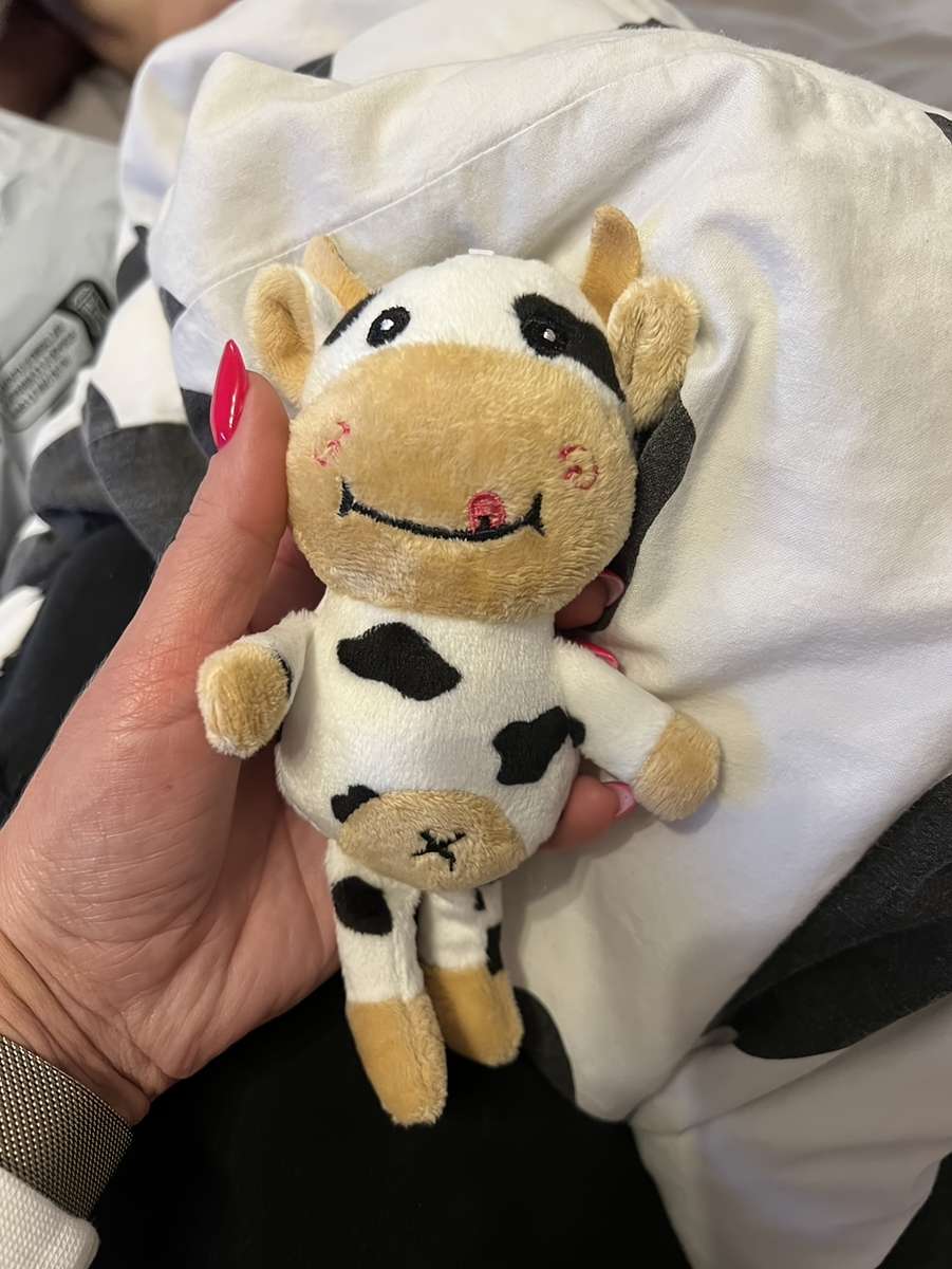 Plush Toyss size 18x10cm 7x4in