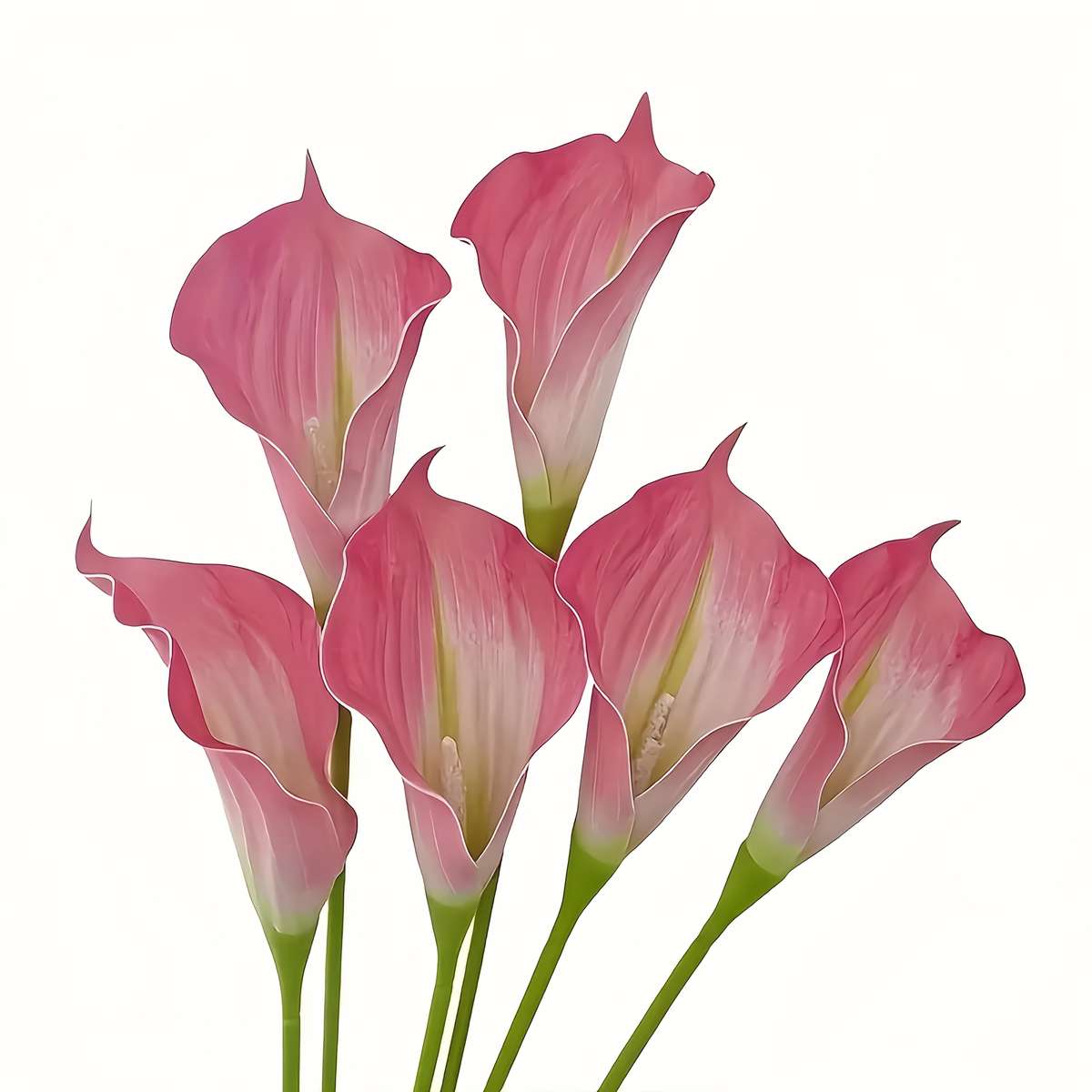 Simulated Flower Color Extra Large White 6Pcs