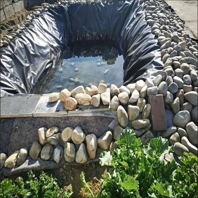 Swimming Pool Model 7M X 10M