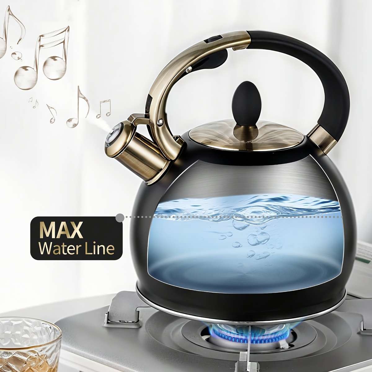 Kettle Capacity 3L