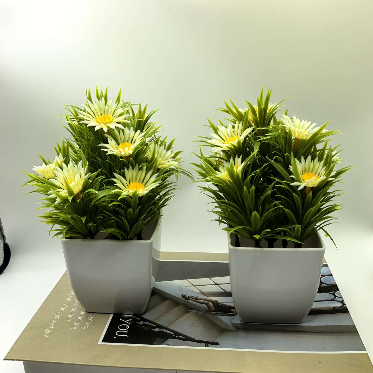 Flowerpot  1Pcitems Small Daisy Bonsai