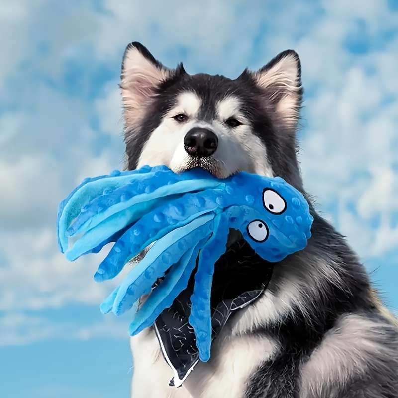 Plush Toyss color Orange