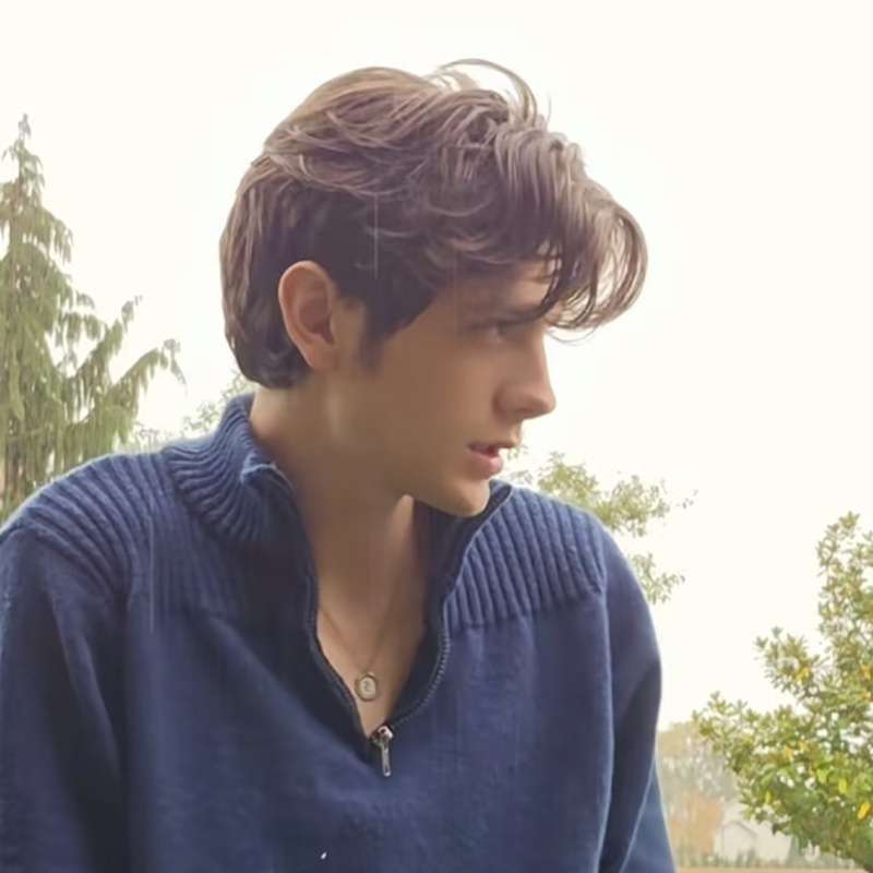 Dark Brown Mens Wigs Hair Length 10.16Cm