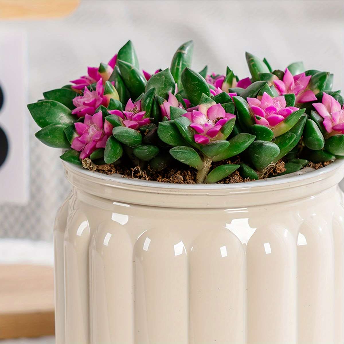 Flowerpot  1Pccolor Transparent Orange