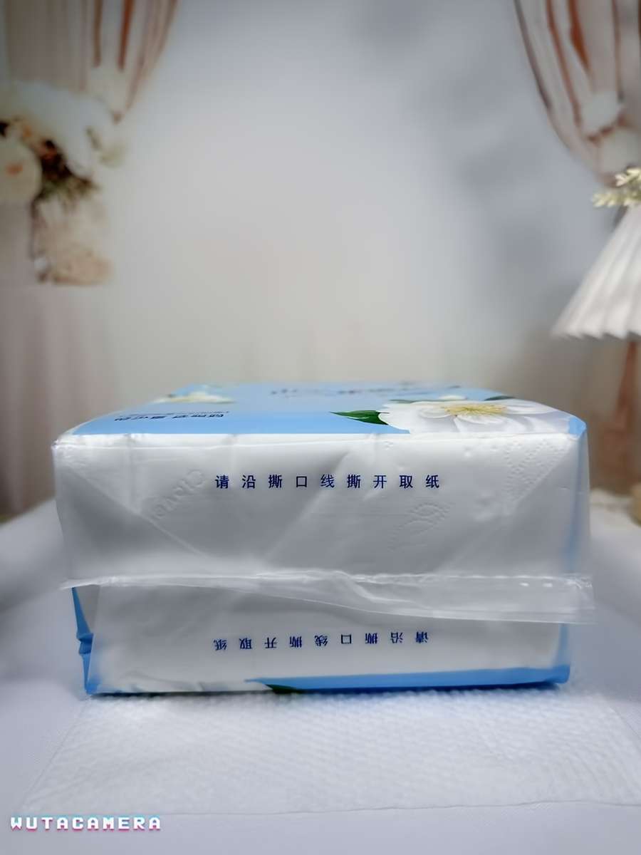 Toilet Paper Quantity 1 Pack