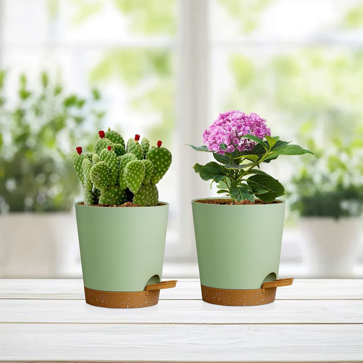 Flowerpot Color Green Brown