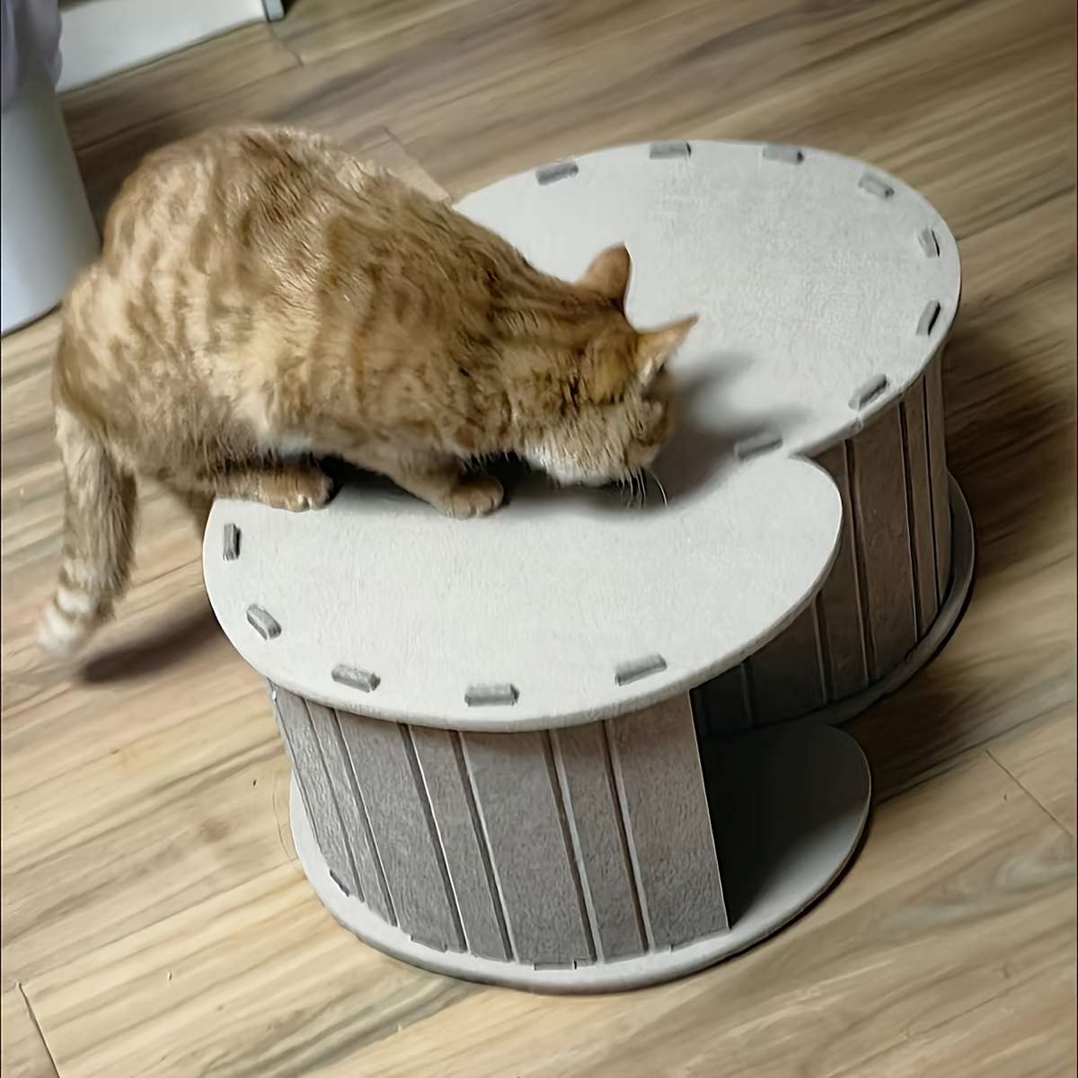 Pet Supplies Color Blue