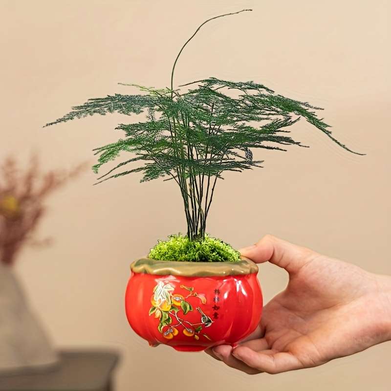 Flowerpot Color Red Pumpkin 10X7Cm