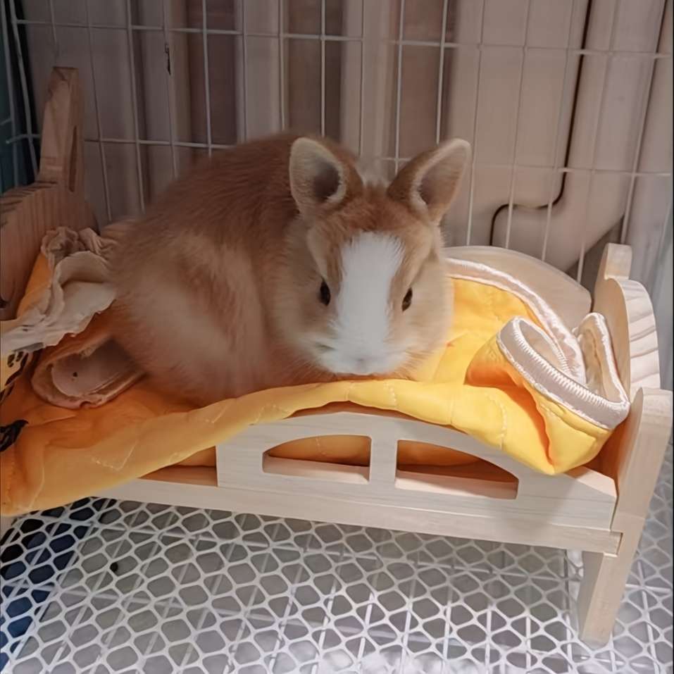 Pet supplies Style Bear bed  Add  bear quilt three    piece set