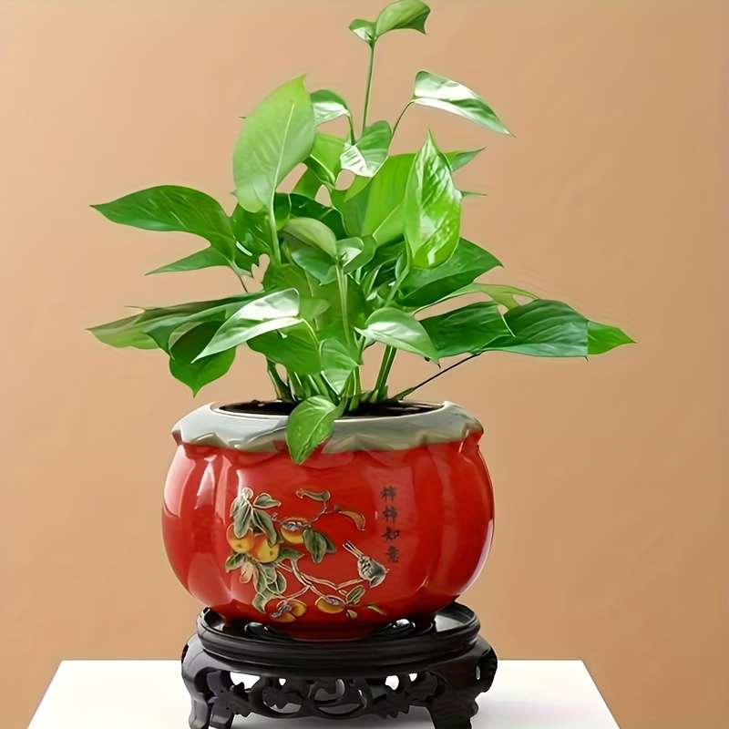 Flowerpot Color Red Pumpkin 10X7Cm