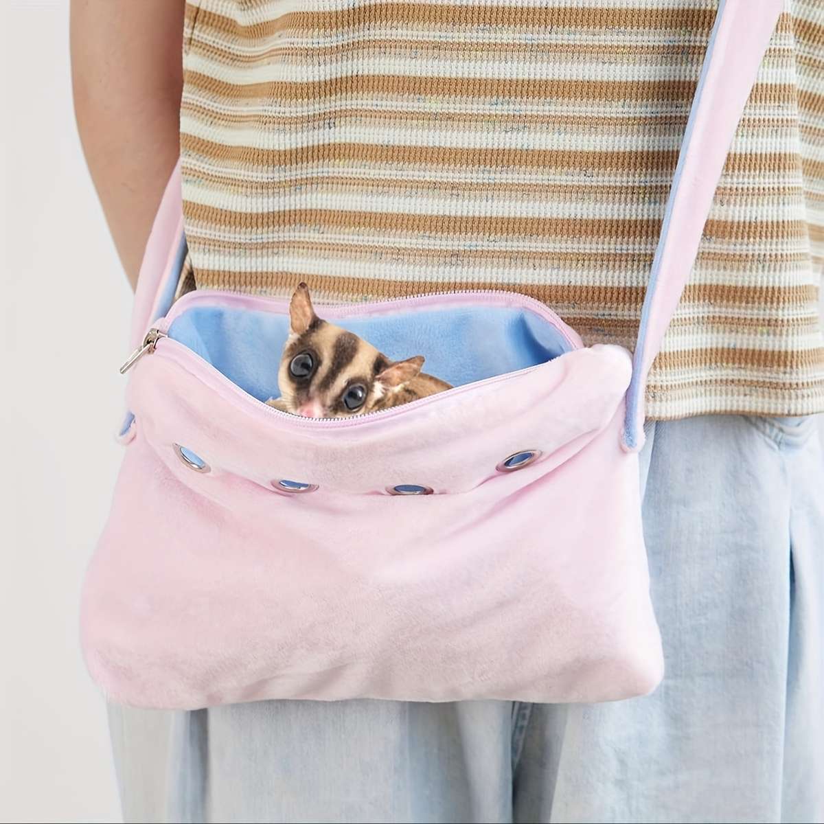 Pet Supplies Color Orange