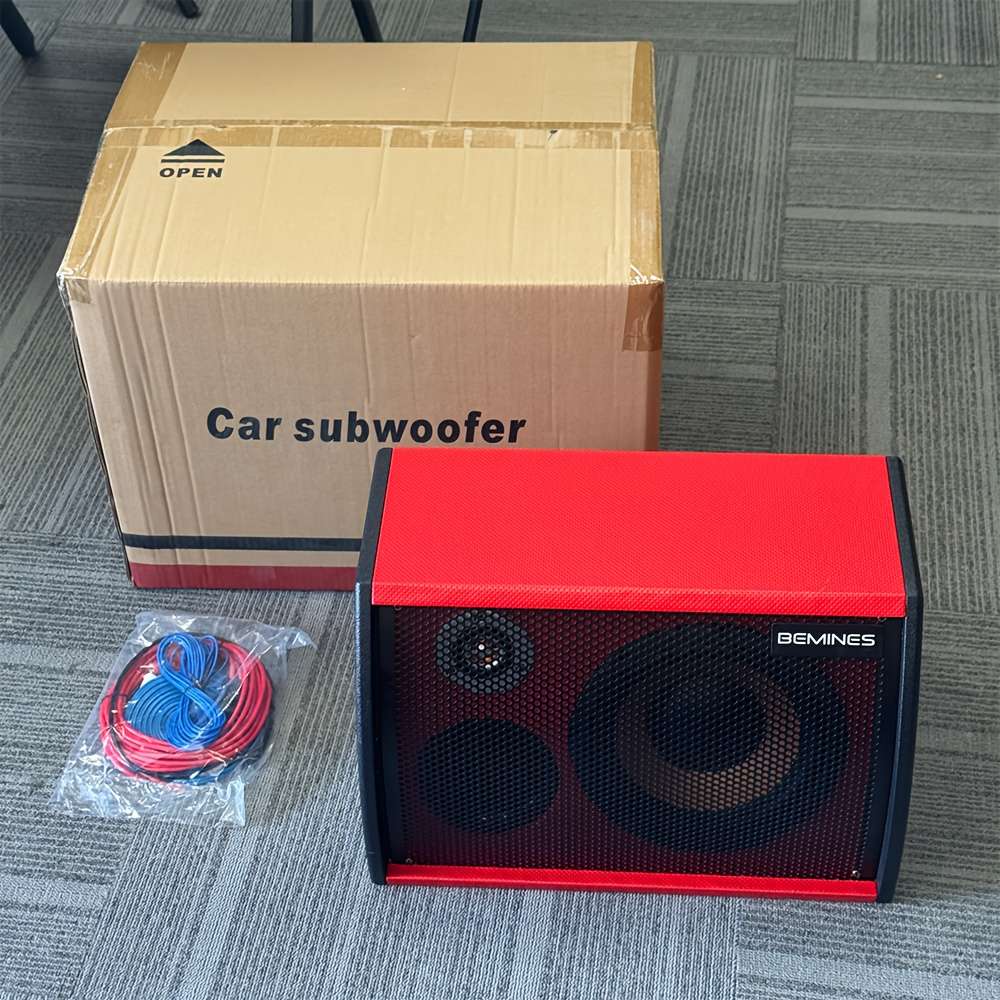Smart Featuring Crystal Sound 700W Max Power Inch For Festival Celebration 10