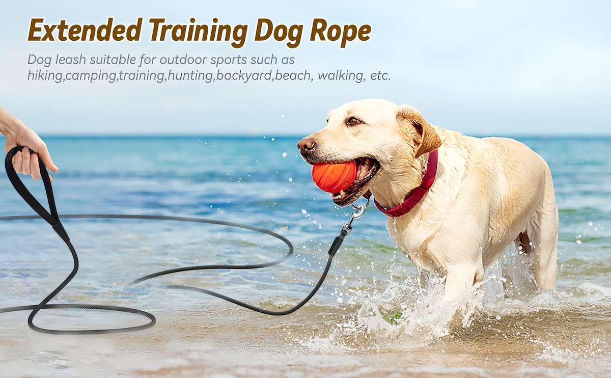 Dog Leash Color Black Size M
