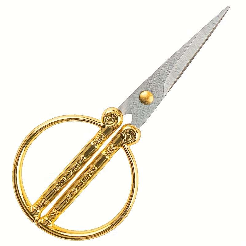 Scissors Color Multicolor