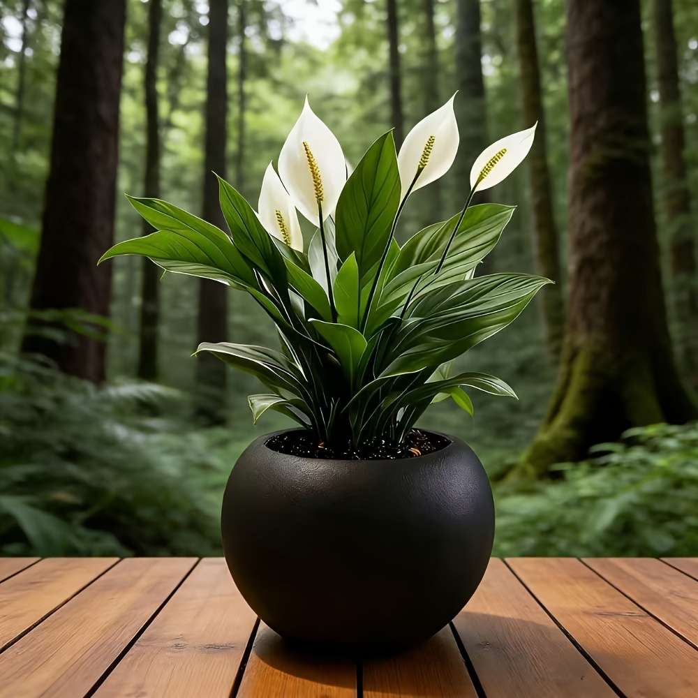 Flowerpotsize Size 18Cm Blackcolor  Empty Basin