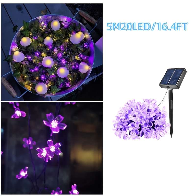 1 Solar Pack