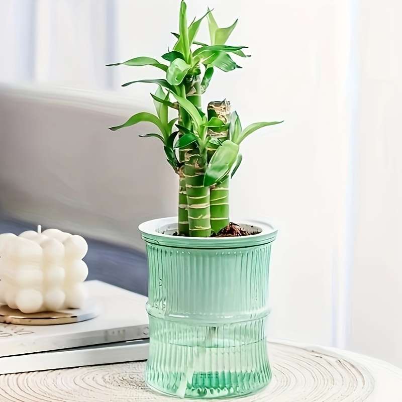 Flowerpot Color Transparent Gray 2