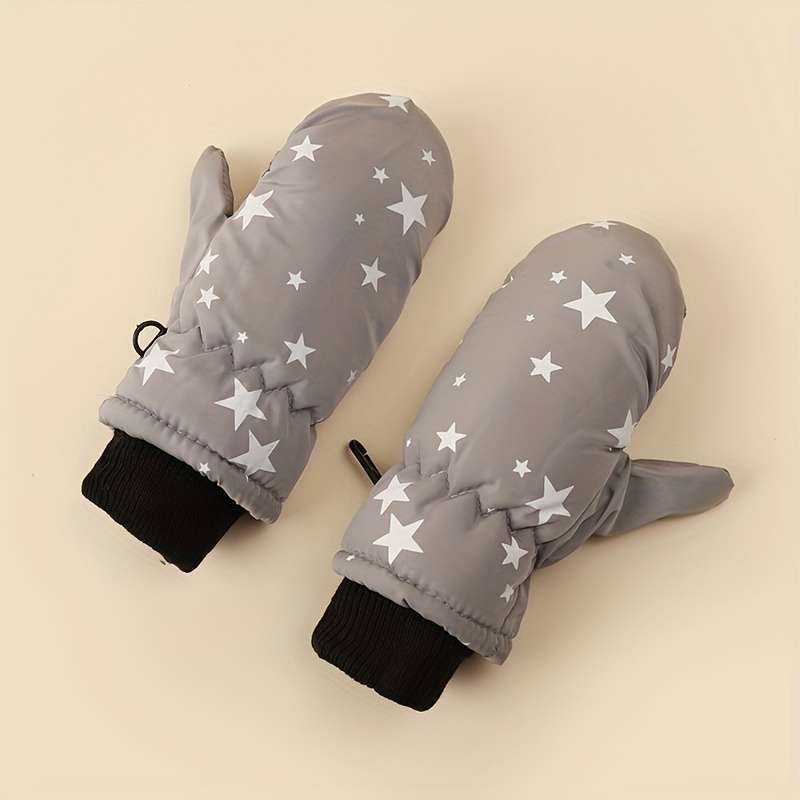 Winter Gloves Color Grey