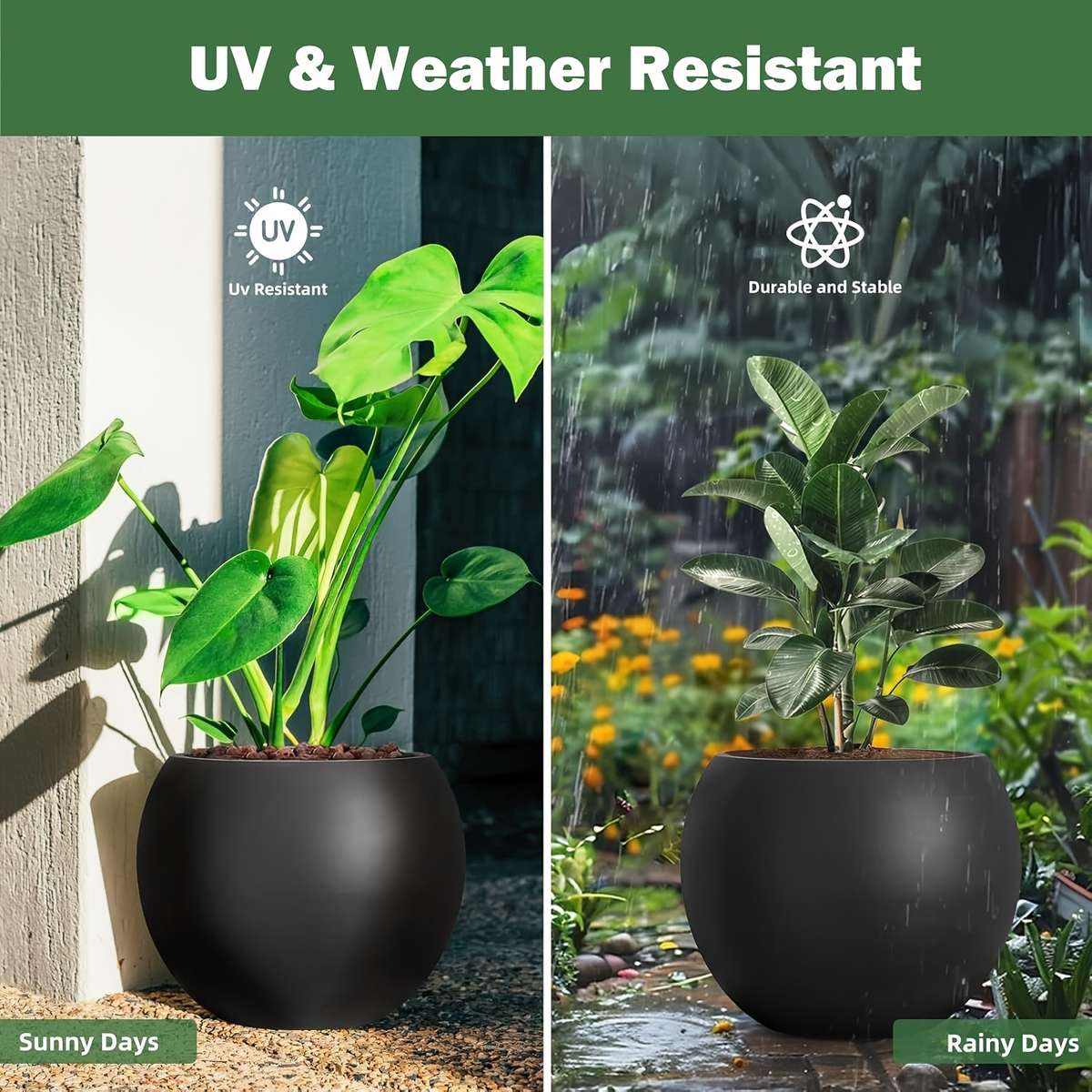 Heavy Duty Large Cm Tall Cm Diameter Aesthetic Design Modern Lifestyle