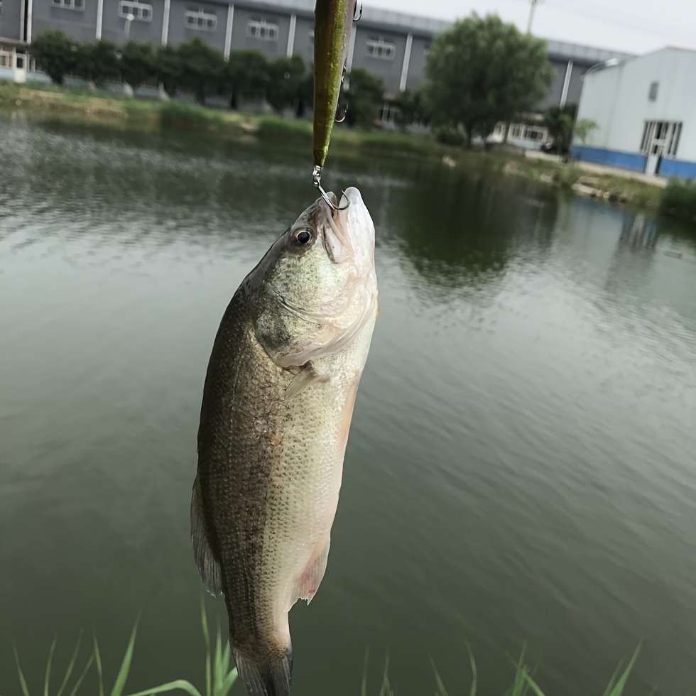 4pcs Small Loach Bait for Fishing Mandarin Fish Bass And Black Fish