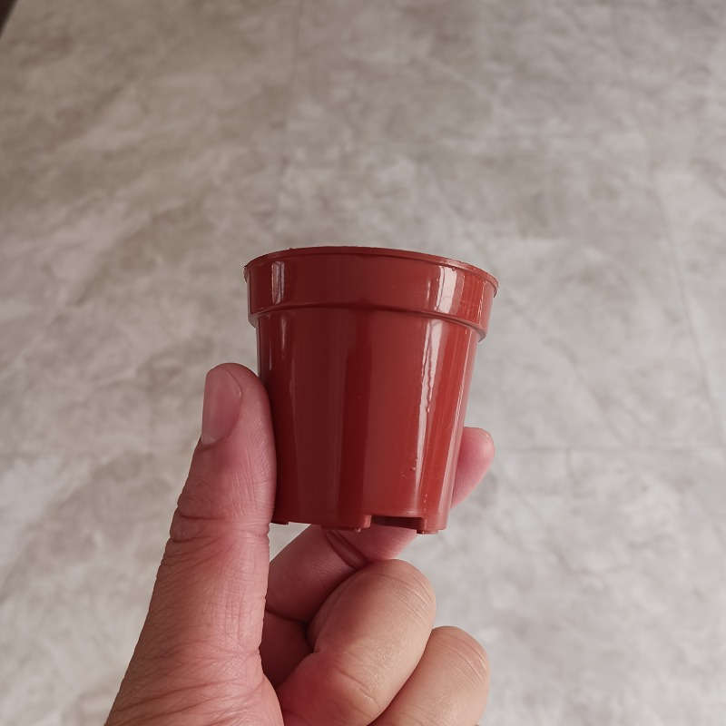 Flowerpot Color Brown 1 Quantity5Pcs