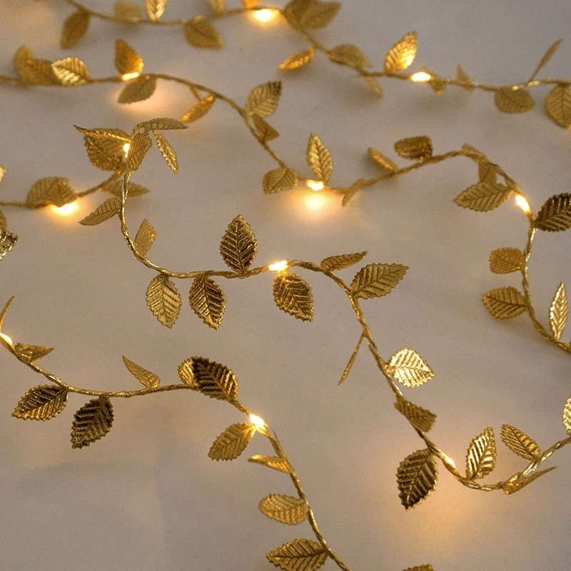 String Lights Color 3M 118.11Inch