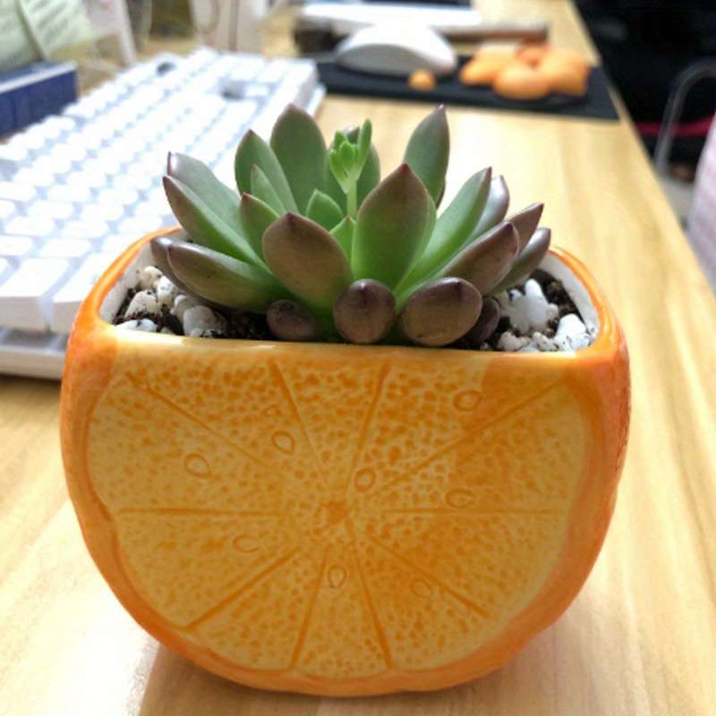 Flowerpotsize 10X5 5X7 5Cmcolor Apple