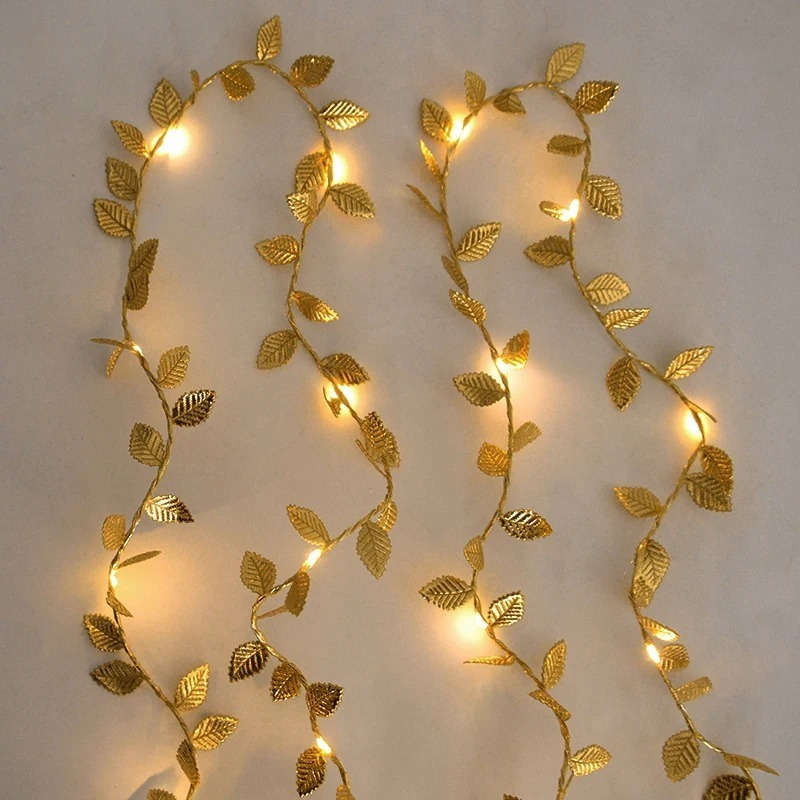 String Lights Color 3M 118.11Inch