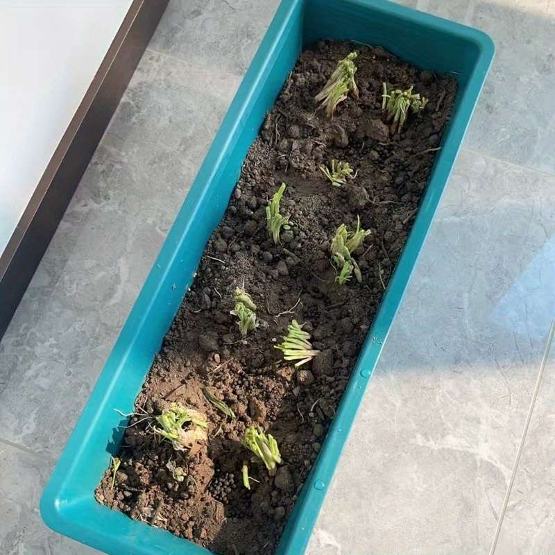 Flowerpot  6Pcs  3Pcs Flower Pot  Add  3Pcs Tray Color Dark Green