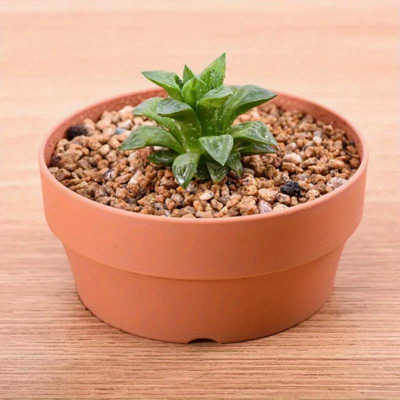 Flowerpot Color 16Cm-6 3In
