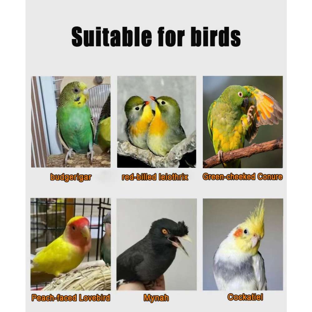 Birdcage Quantity 1 Set