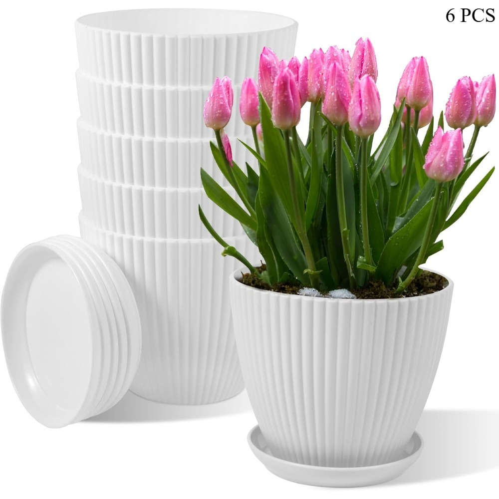 Flowerpot Quantity 6 Pcs