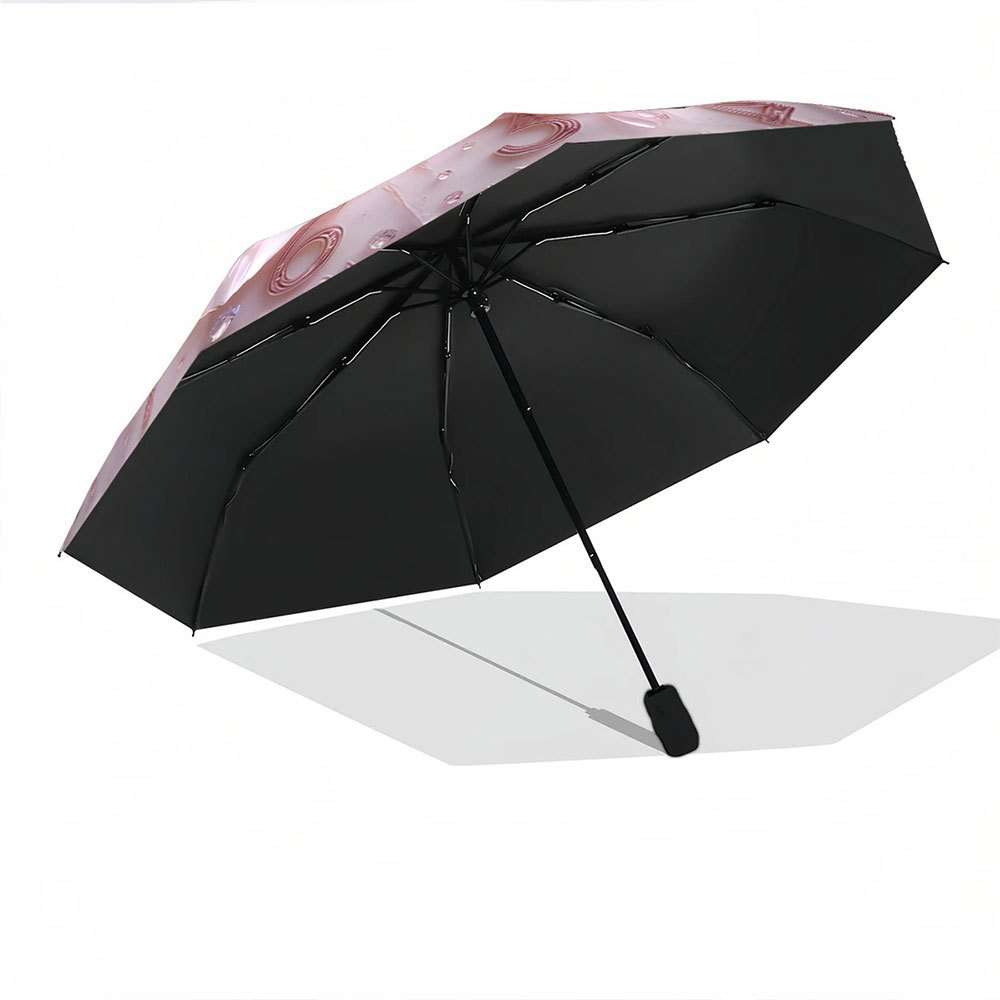 Umbrella Color Colorful