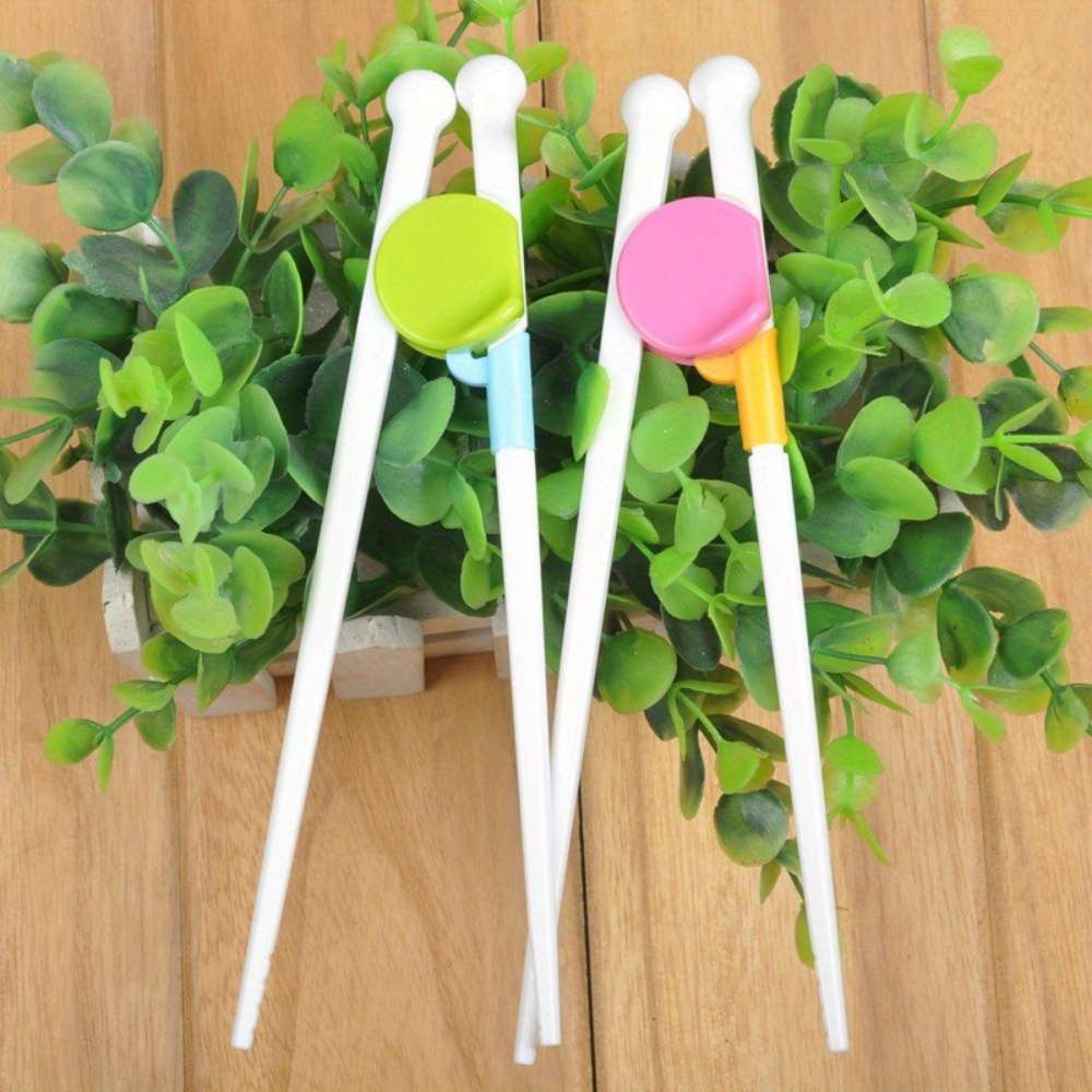 Chopsticks Color 2Pairs Random Colors