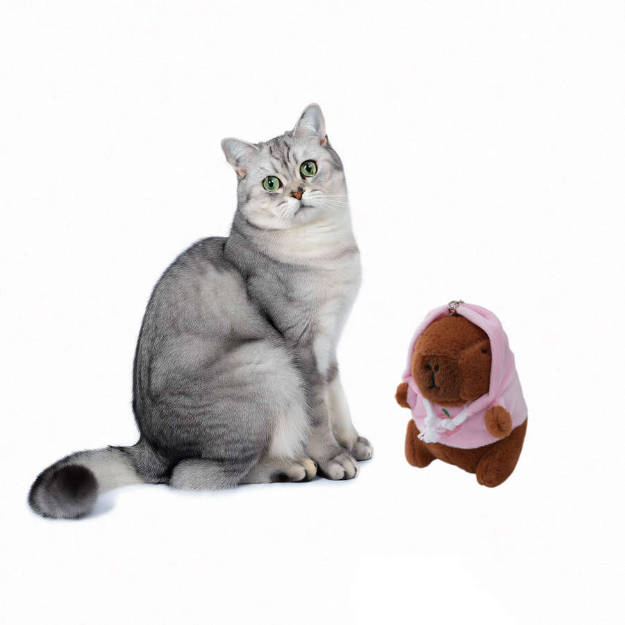 Plush Toys Color Red