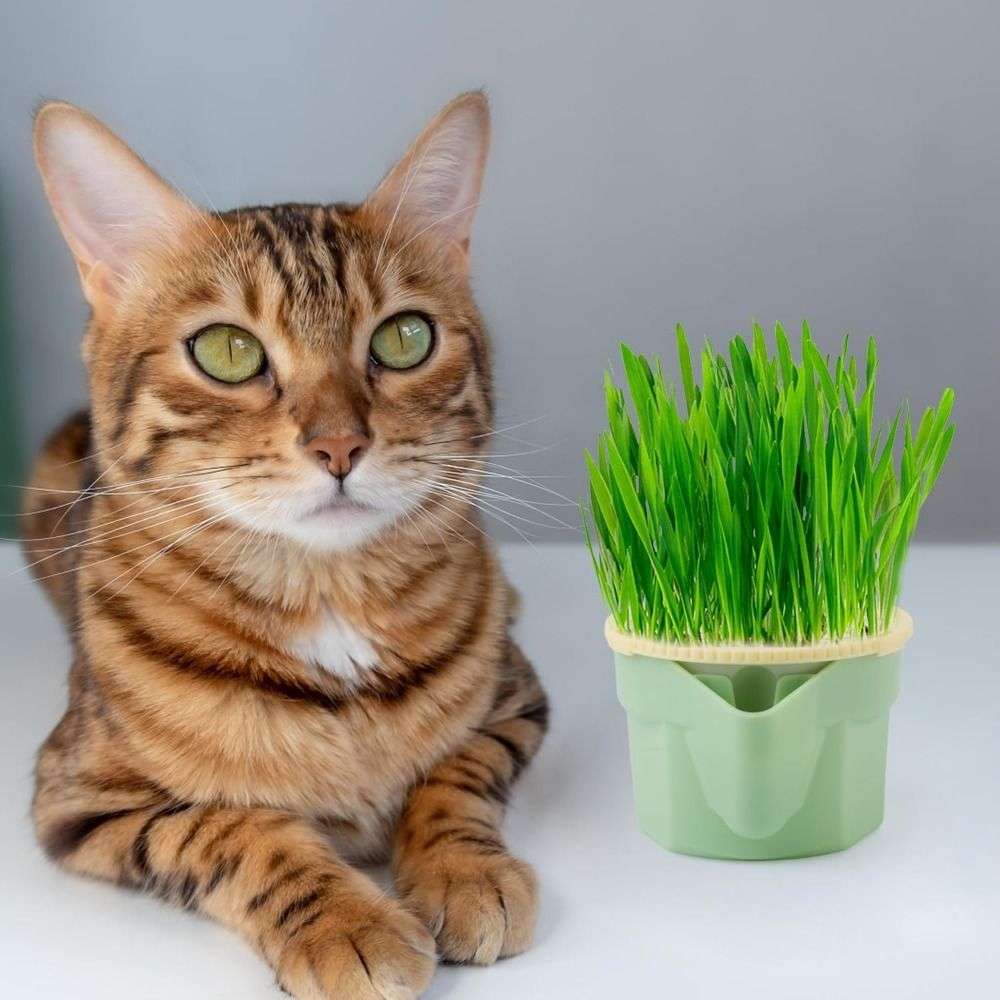Flowerpot Style Style1