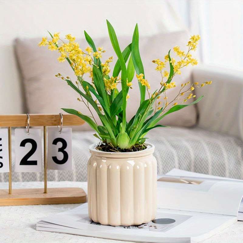 Flowerpot Color Blue