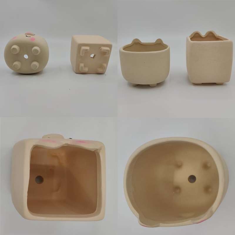 Flowerpot  5Pcscolor Cute Pig