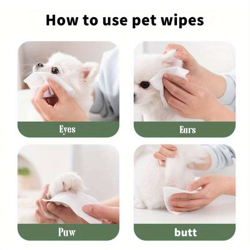 Wet Wipes Items 2Packs160 Sheets